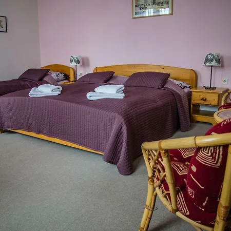 Guest house U Domu Sv. Vaclava Olomouc